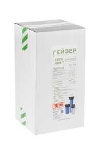 Pipeline Filter Housing Geyser 10BB